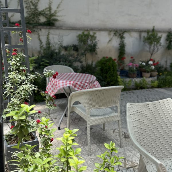 IMG 4084 600x600