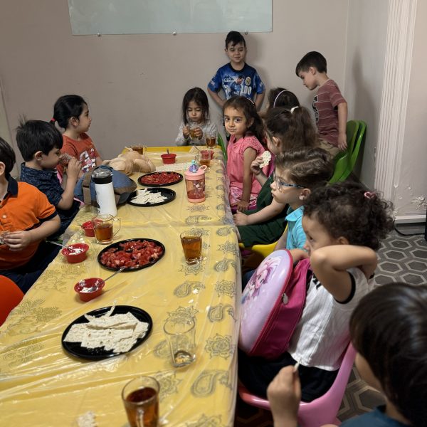 IMG 4507 600x600